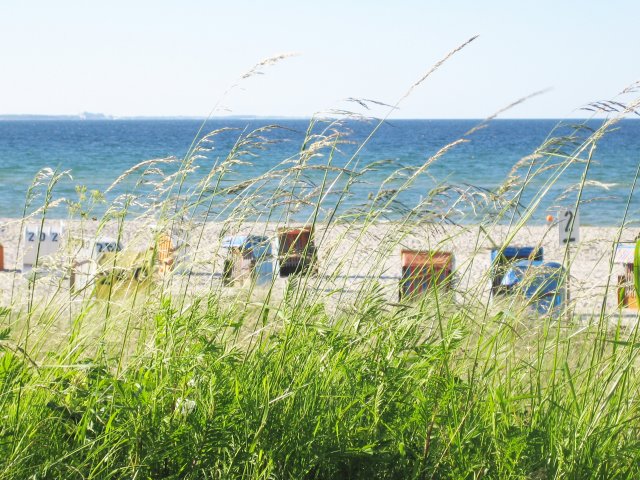 Ostsee-strand